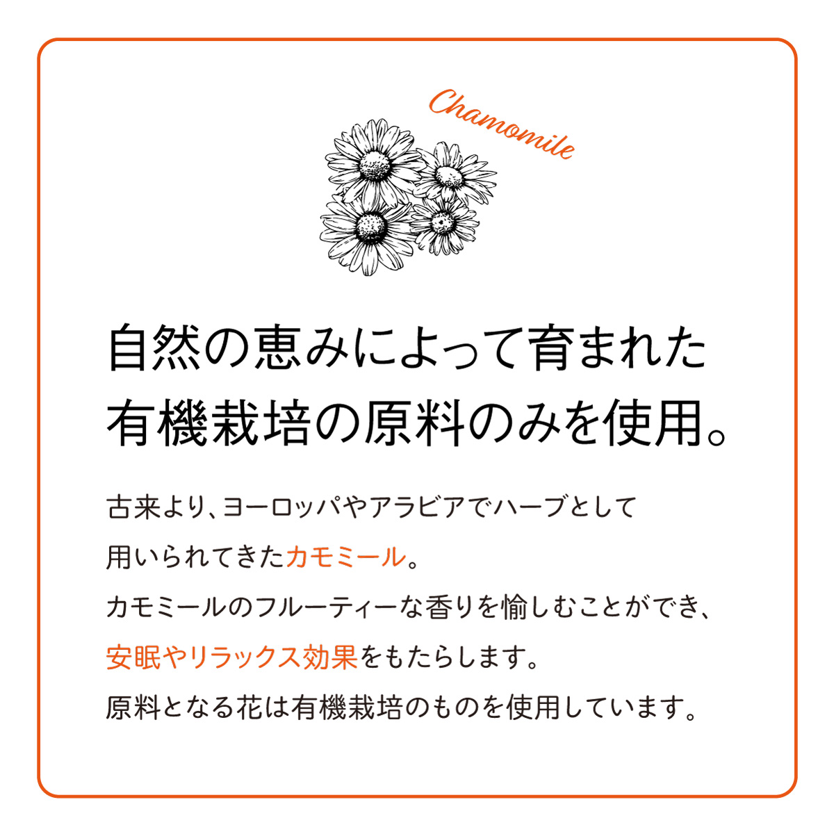 オーガニックカモミールほうじ茶 ティーバッグ (2.5g×35包)