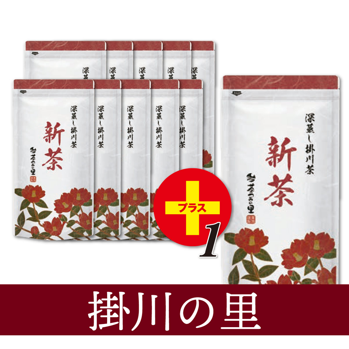 【新茶限定】掛川の里 11本セット【1本サービス】