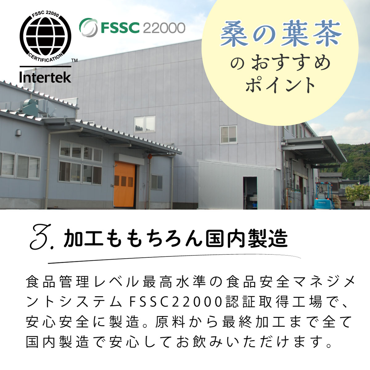 国産 桑の葉茶 ティーバッグ (2.5g×50包)