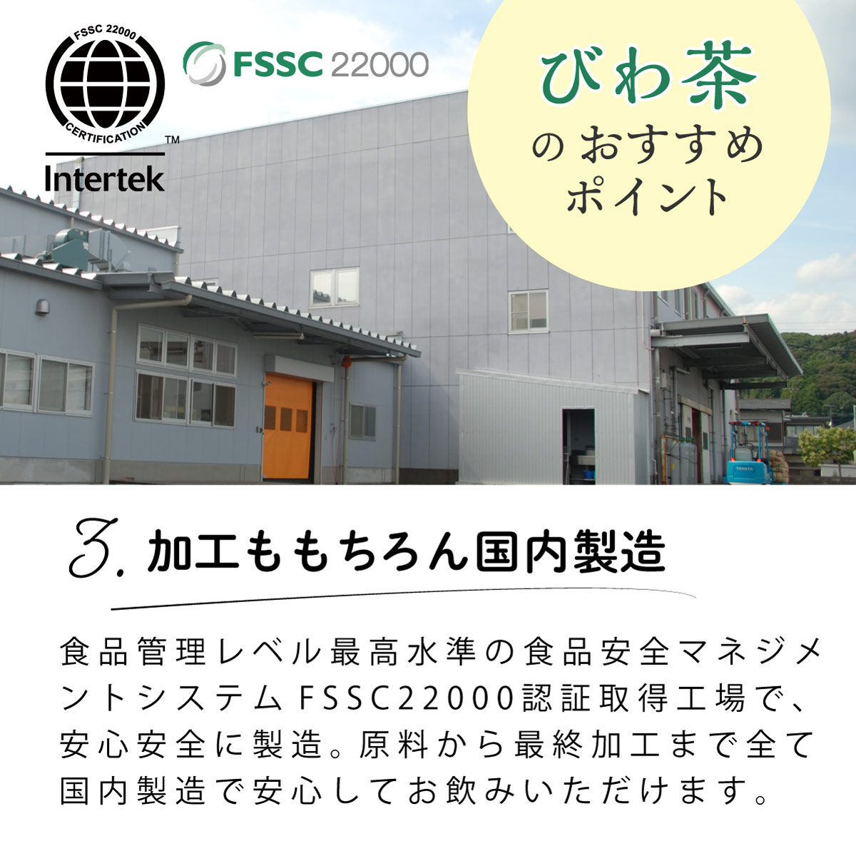 【定期便】国産 びわ茶 ティーバッグ (3g×50包)
