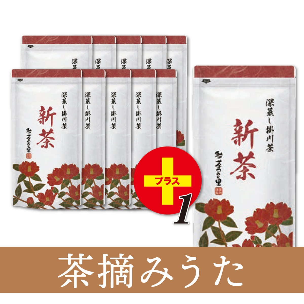 【新茶限定】茶摘みうた 11本セット【1本サービス】