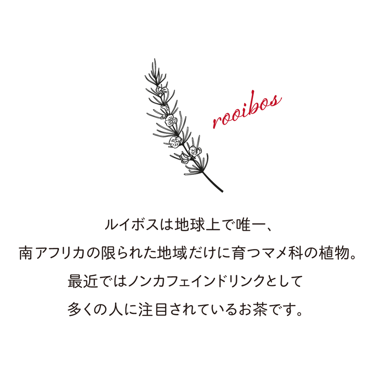 オーガニックルイボスティー ティーバッグ  (2.5g×35包)