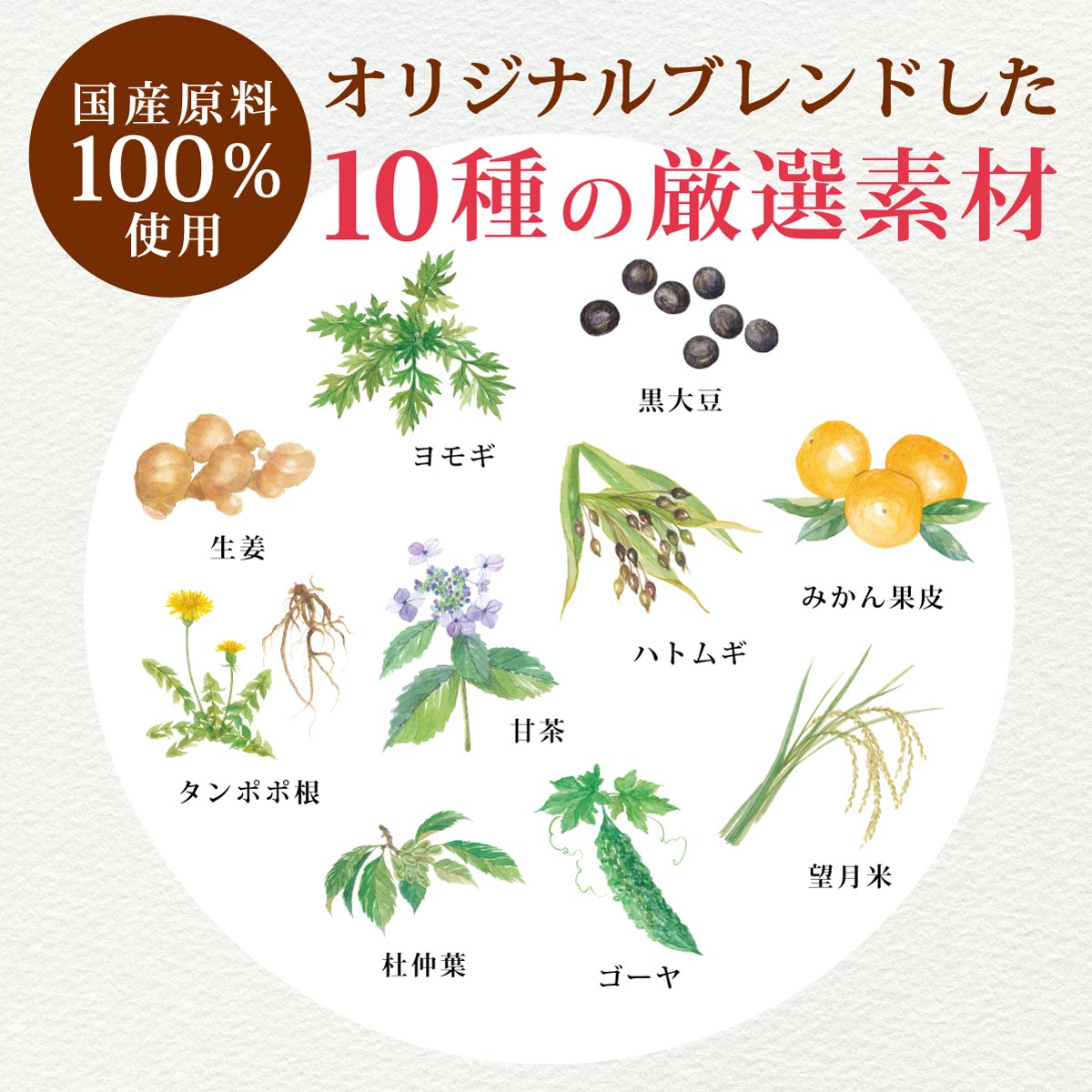 国産 巡り健茶 ティーバッグ (3g×30包)