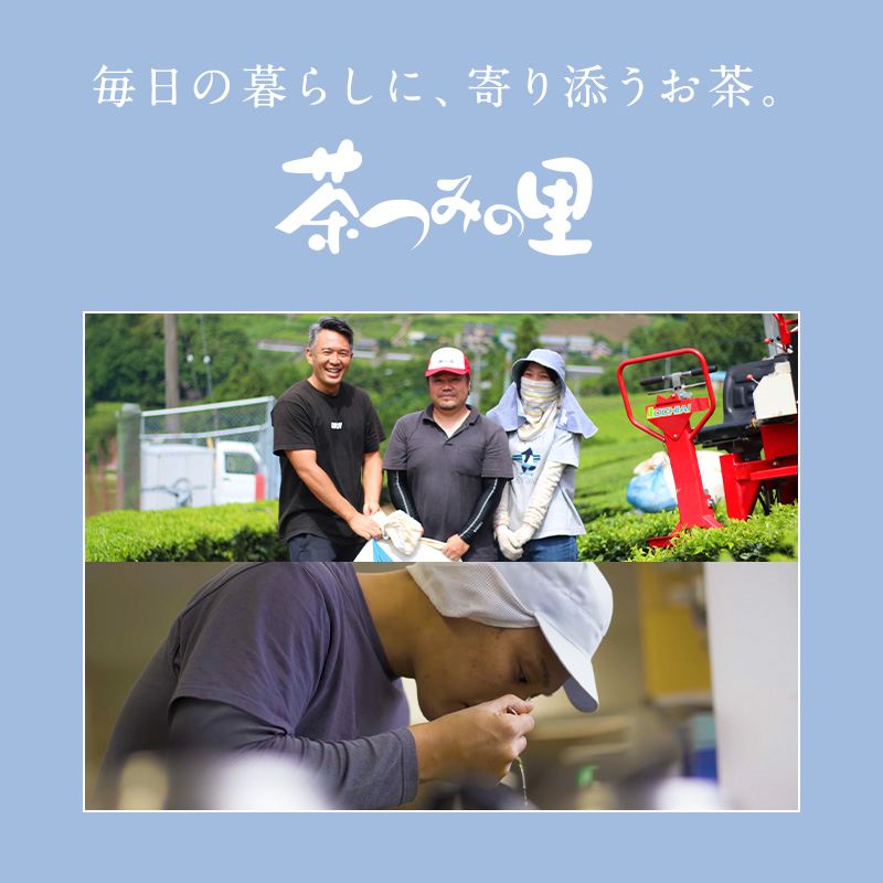 【定期便】オーガニック ジンジャールイボスティー (3g×50包)