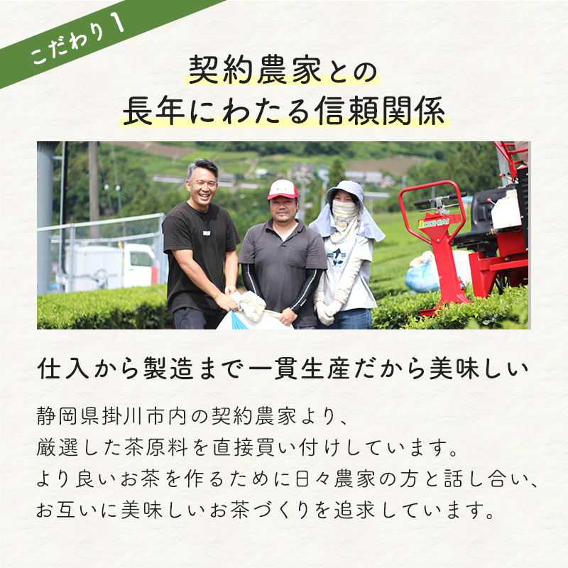 【定期便】お徳用 抹茶入り深蒸し茶 ティーバッグ  (2.5g×100包)