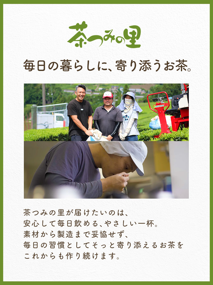 国産 よもぎ茶 ティーバッグ (3g×50包)