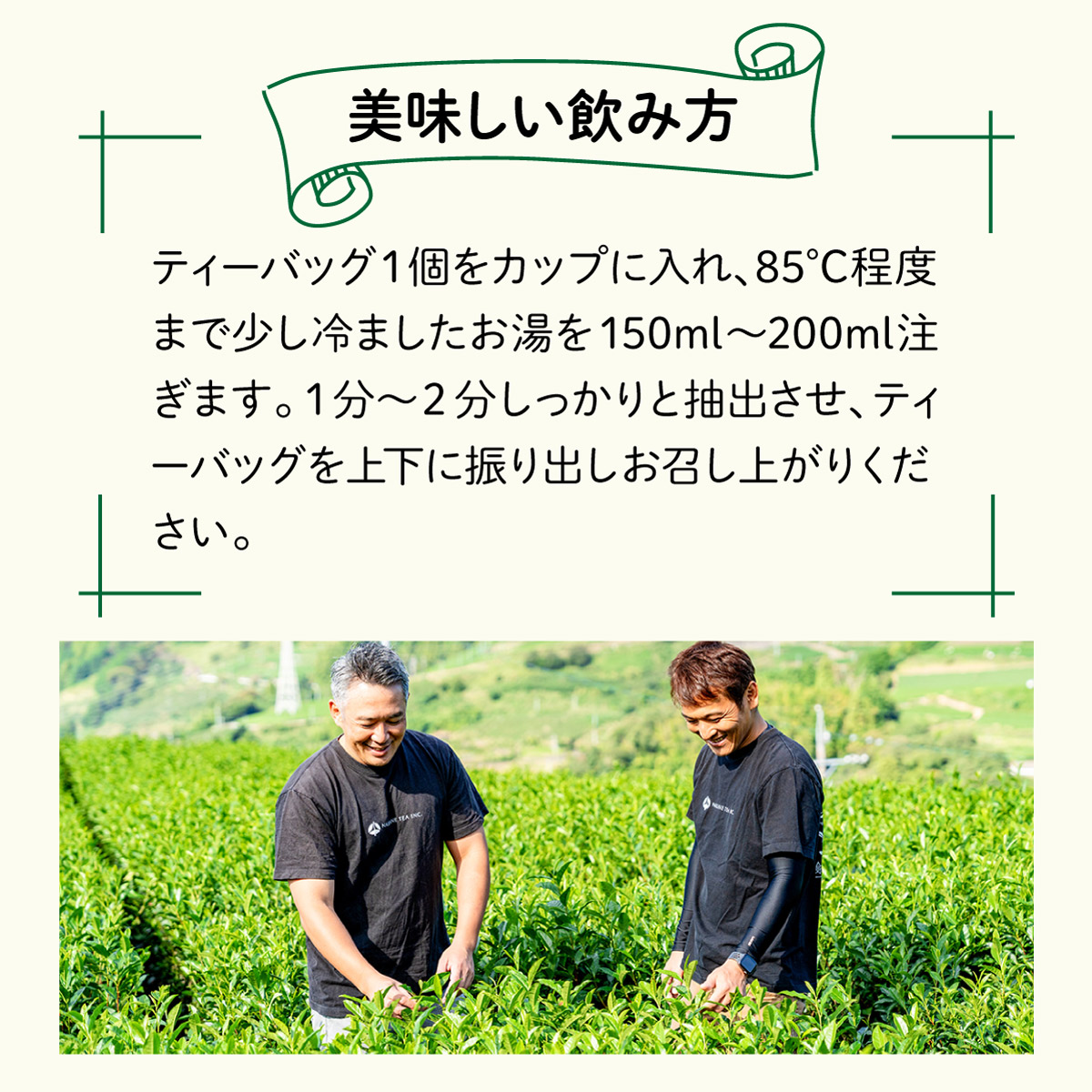 【定期便】静岡県産 べにふうき ティーバッグ (2.5g×100包)