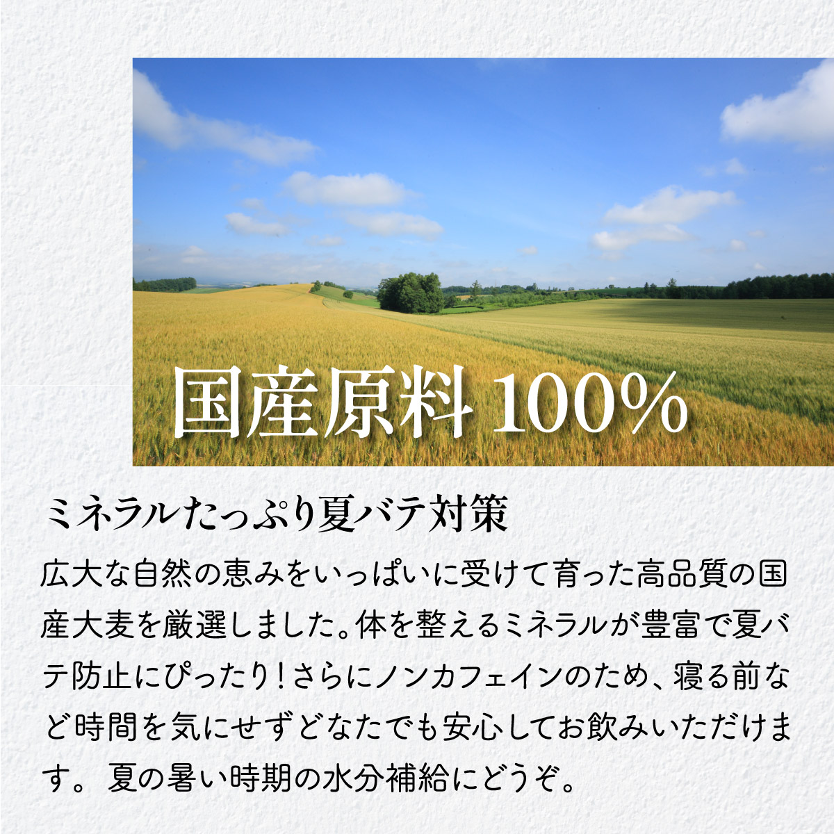 麦茶 ティーバッグ (12g×32包)