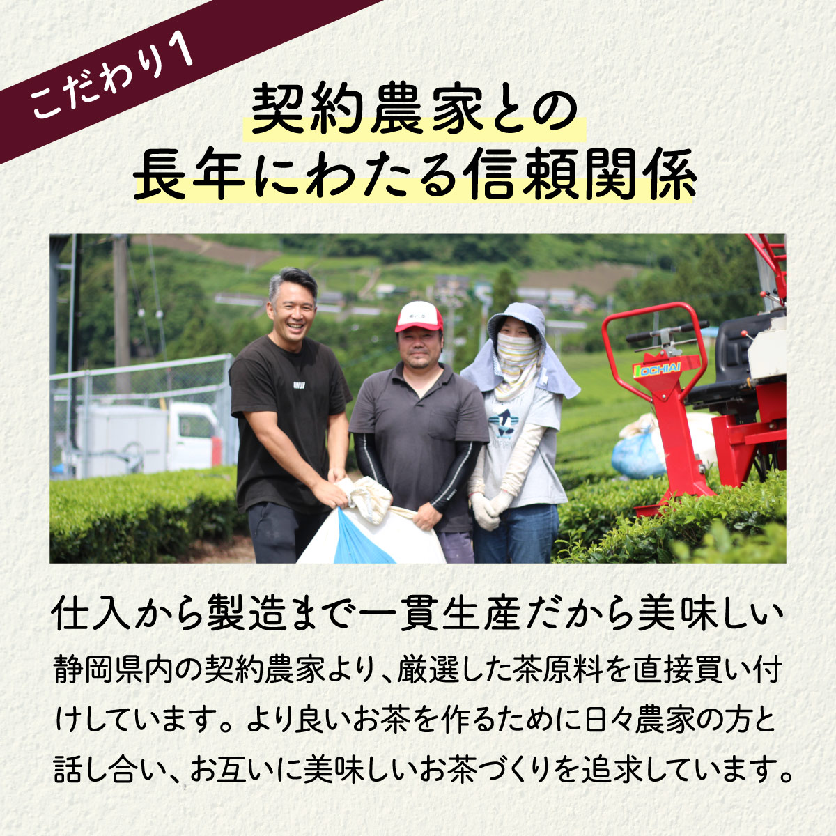 お徳用 ほうじ茶 ティーバッグ (2.5g×100包)