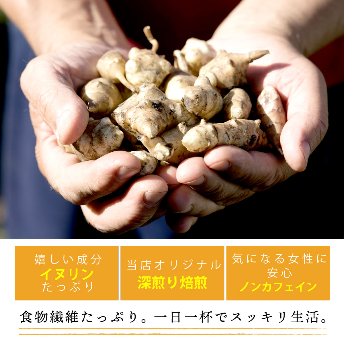 国産 菊芋茶 ティーバッグ (2g×60包)