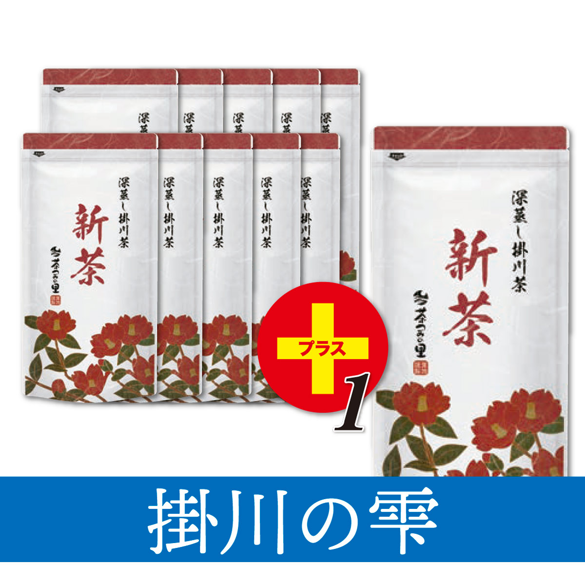 【新茶限定】掛川の雫 11本セット【1本サービス】