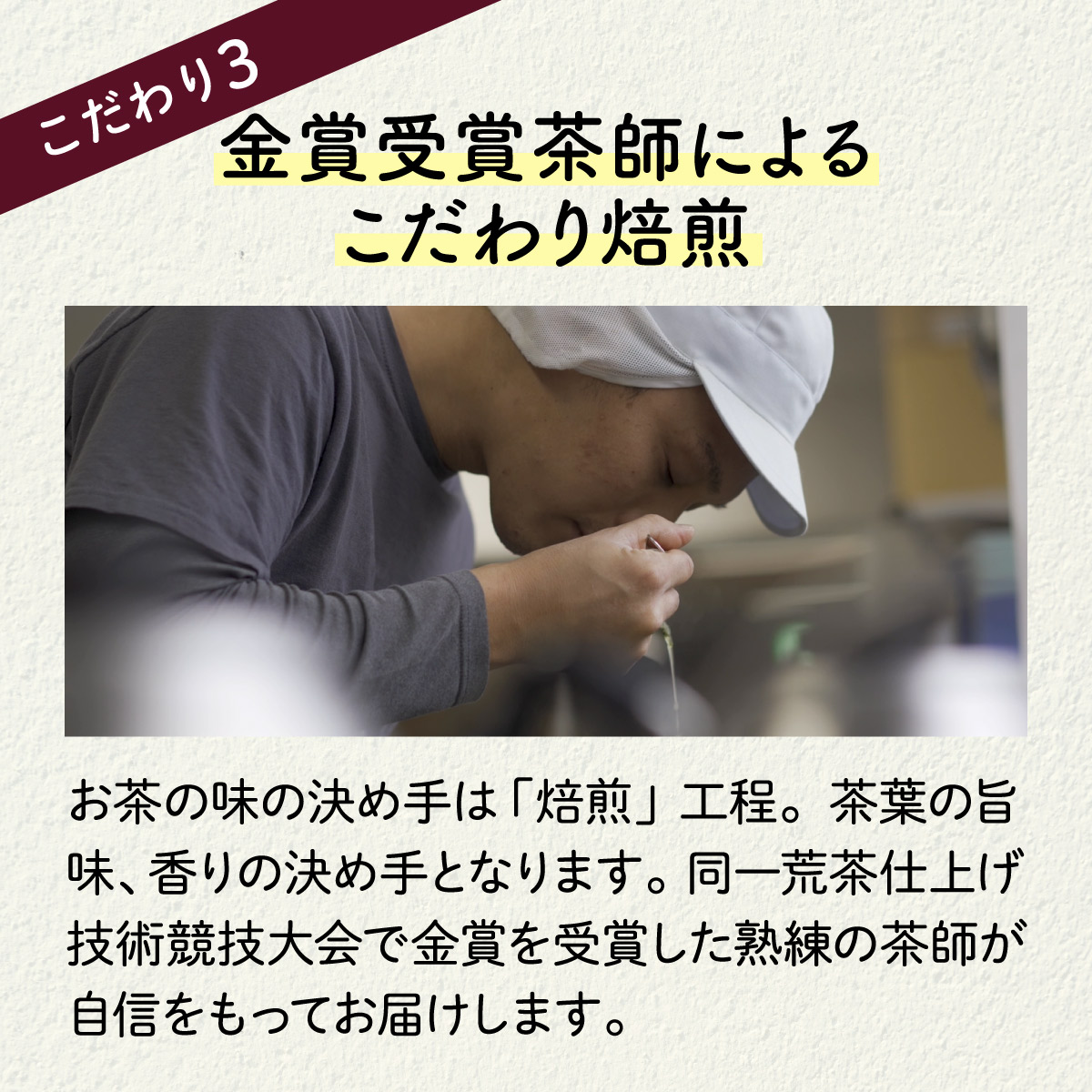 【定期便】お徳用 ほうじ茶 ティーバッグ  (2.5g×100包)