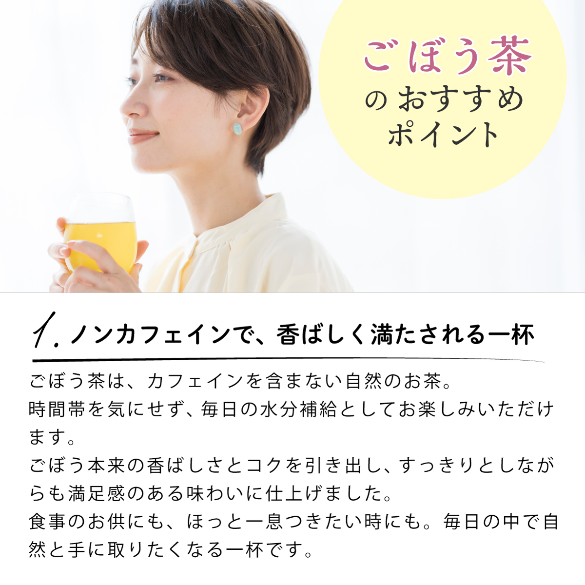 【定期便】国産 ごぼう茶 ティーバッグ (2g×50包)
