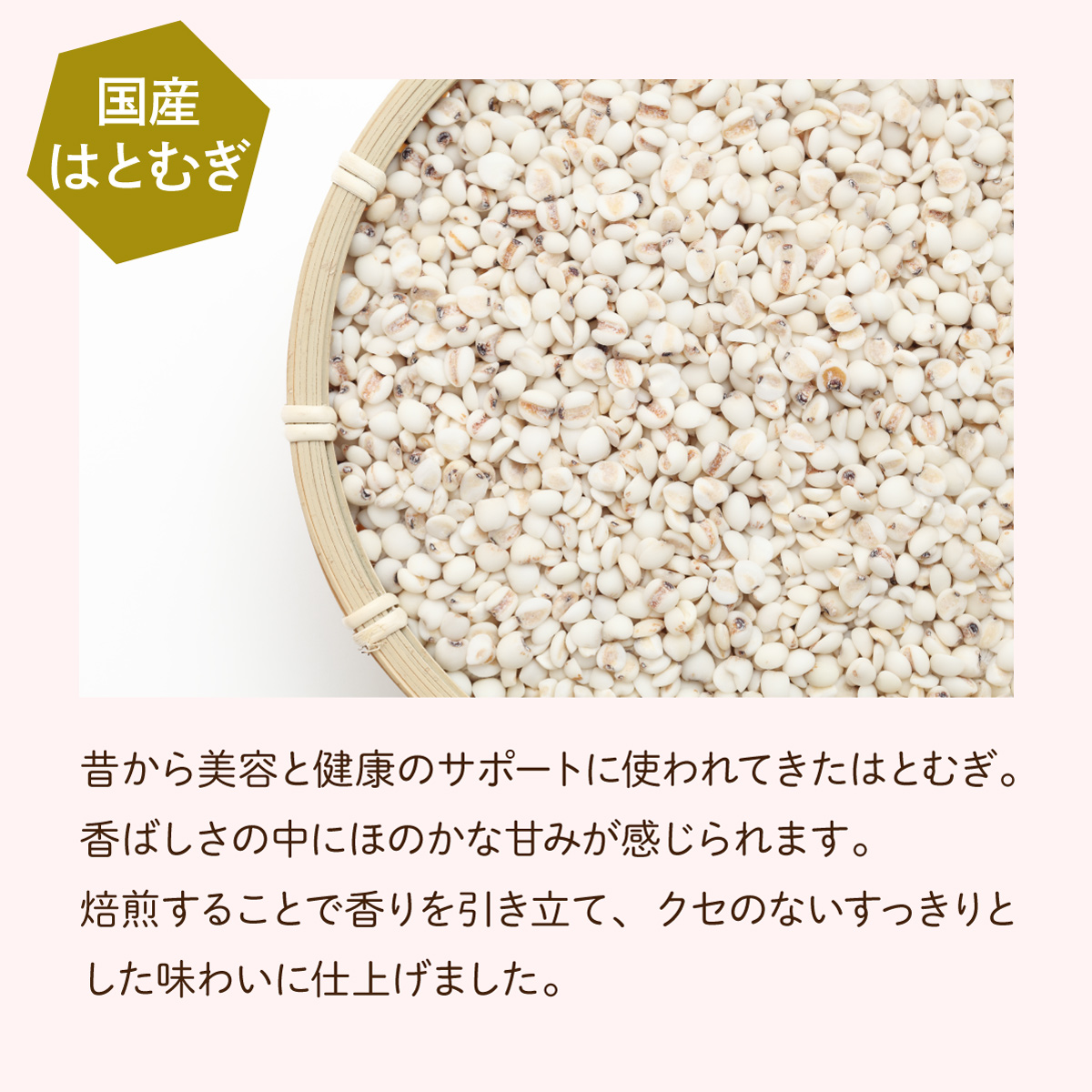 黒ごま麦茶 ティーバッグ(3g×80包)