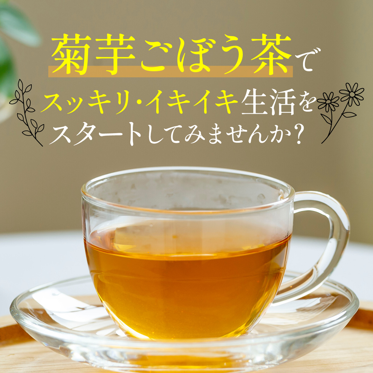 【定期便】国産 菊芋ごぼう茶 ティーバッグ (2g×100包)