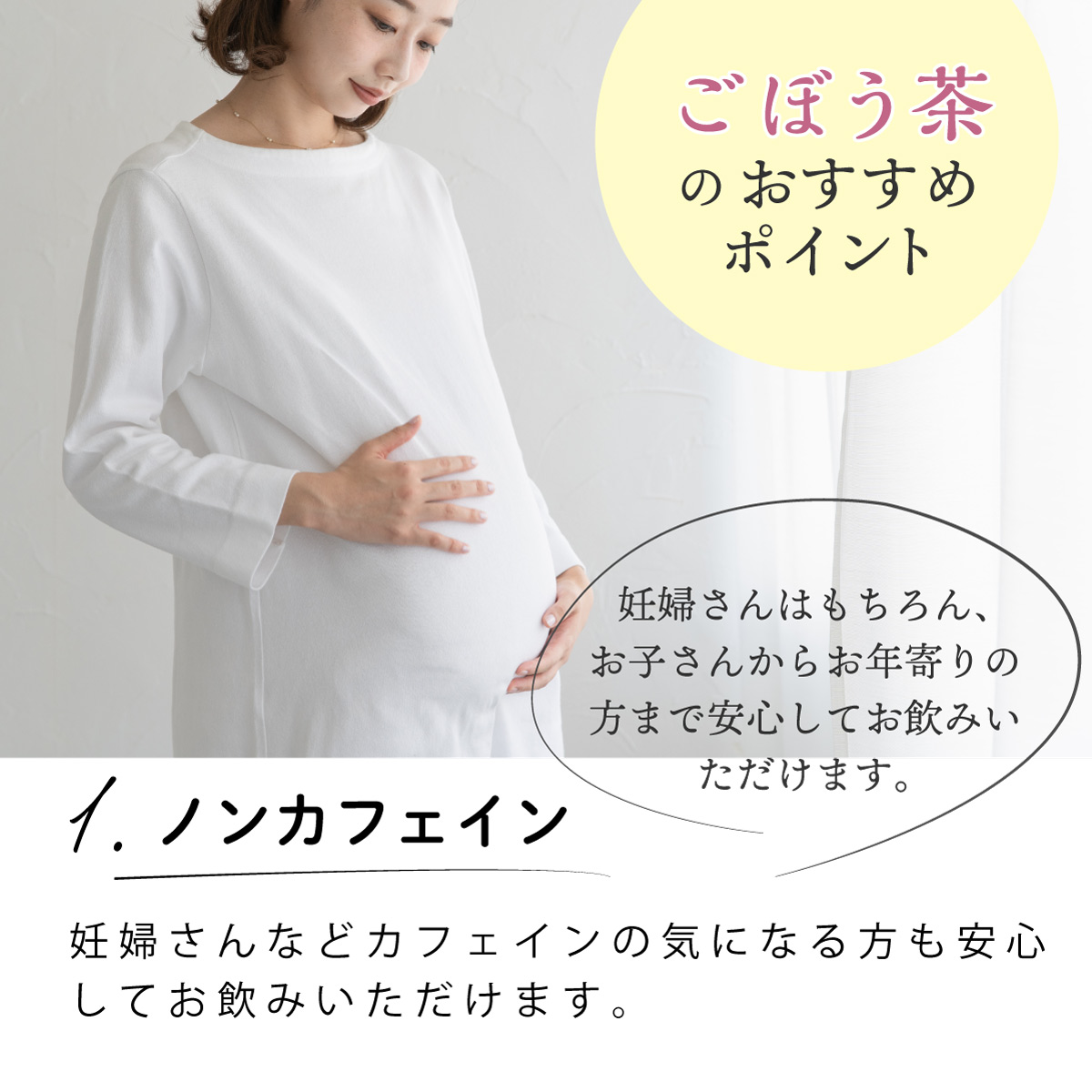 国産 ごぼう茶 ティーバッグ (2g×50包)