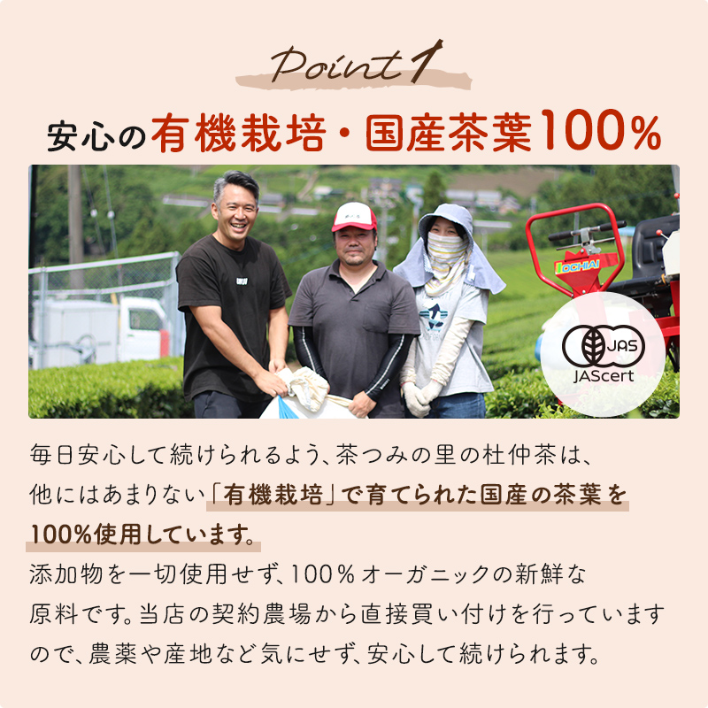 オーガニック 国産 杜仲茶 ティーバッグ (2.5g×50包)