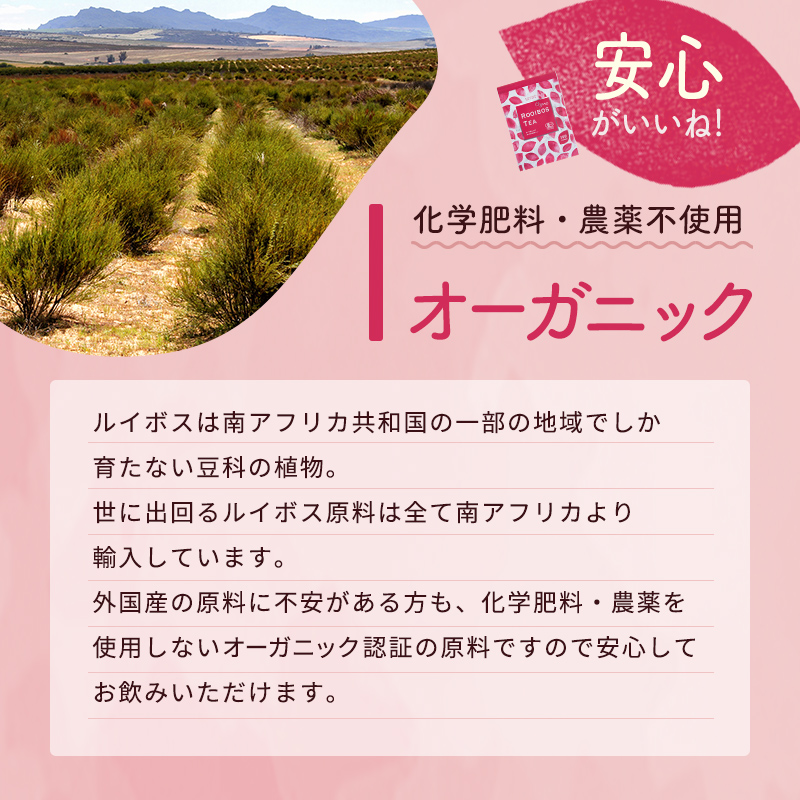 【定期便】お徳用 オーガニックルイボスティー ティーバッグ  (3g×100包)