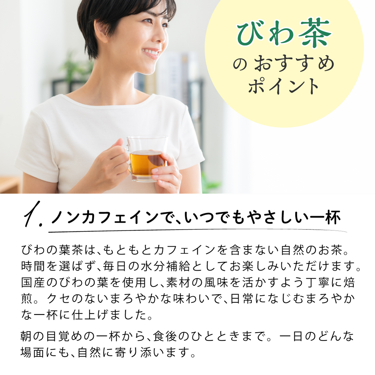 【定期便】国産 びわ茶 ティーバッグ (3g×50包)