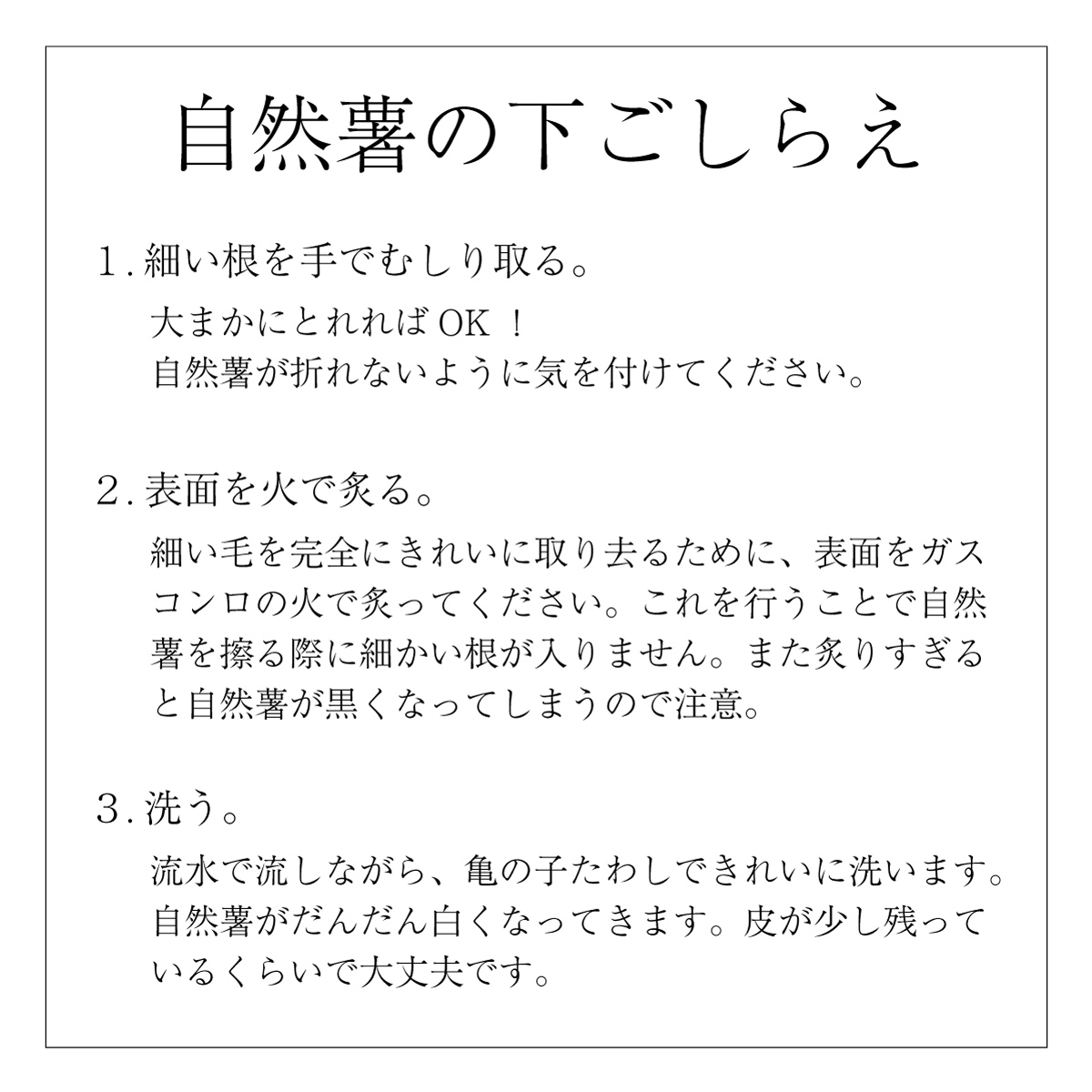 【ご予約承り中】自然薯 (約1kg)