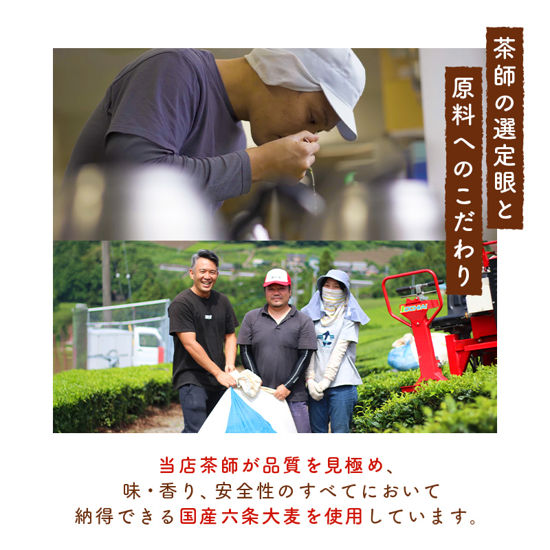 麦茶 ティーバッグ まい麦 (4g ×200包)