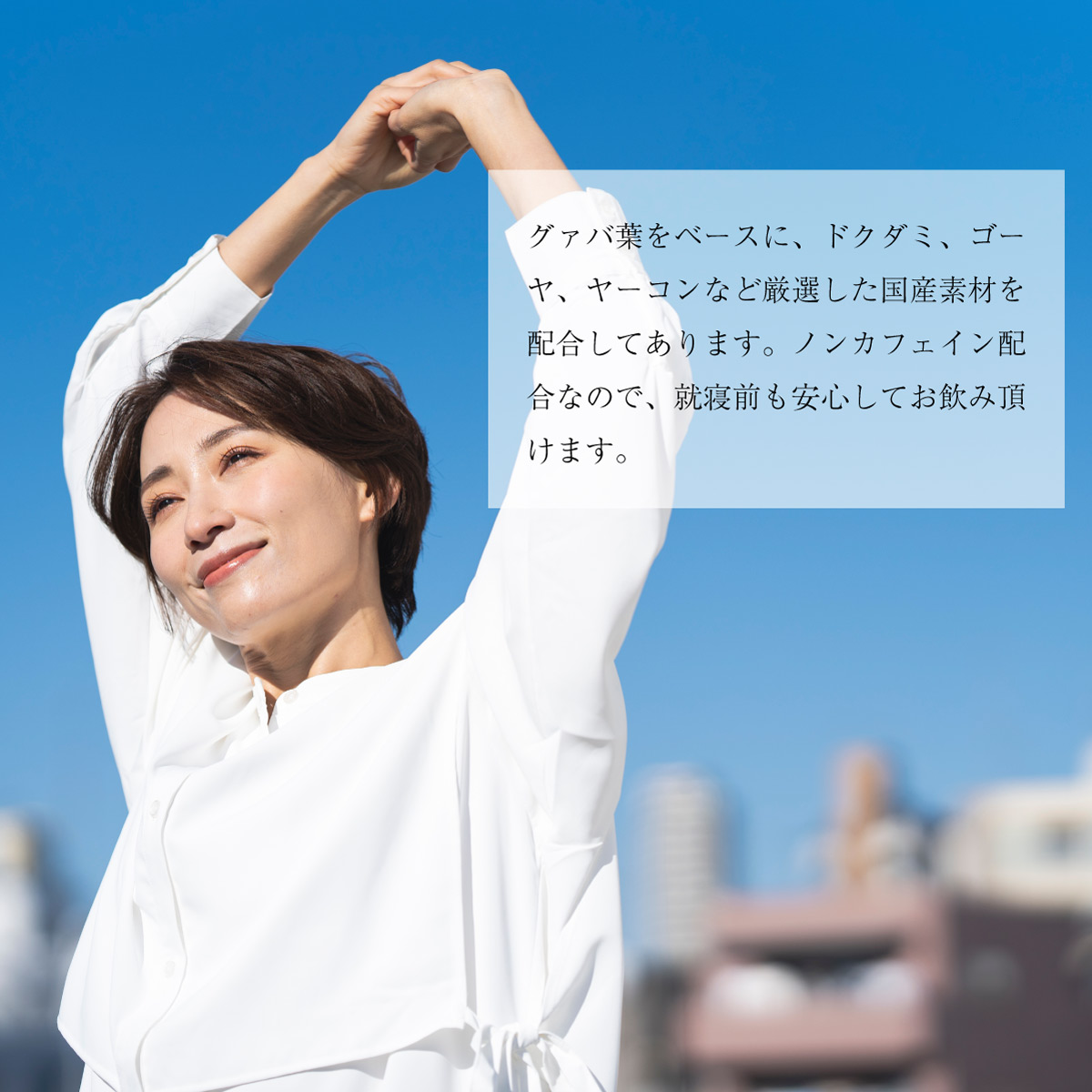 国産 和み健茶 ティーバッグ (3g×30包)