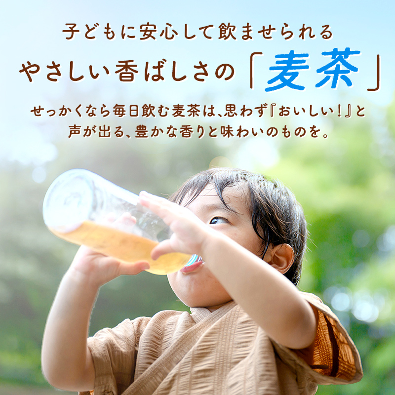 麦茶 ティーバッグ まい麦 (4g ×200包)