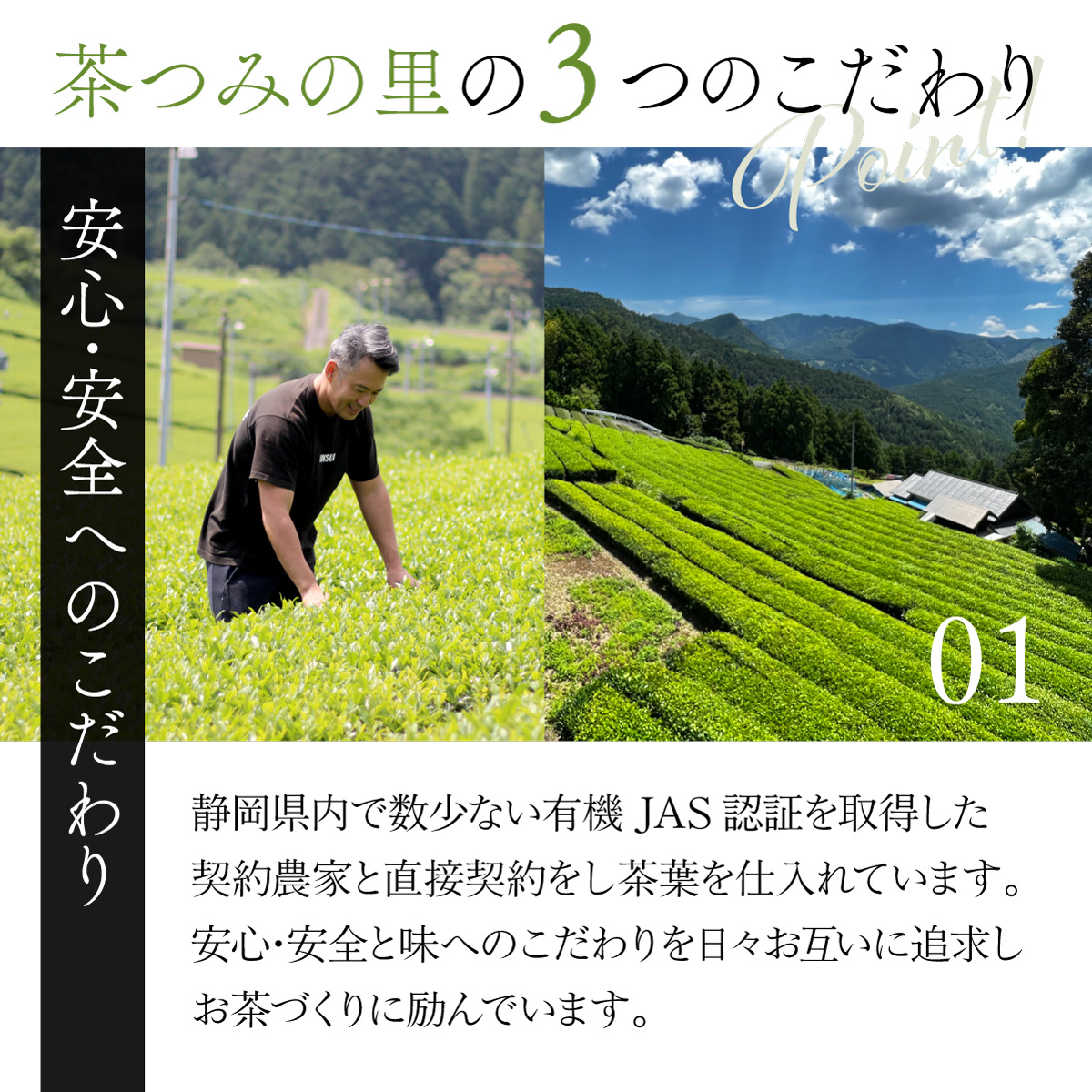 オーガニック ティーバッグ <抹茶入緑茶／ほうじ茶／抹茶入玄米茶> (2.5g×100包)