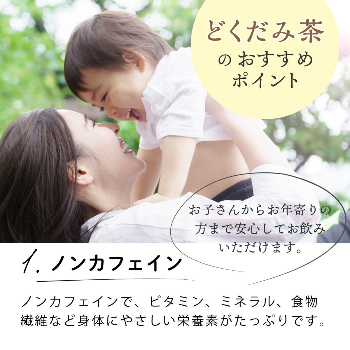 【定期便】国産 どくだみ茶 ティーバッグ (3g×50包)