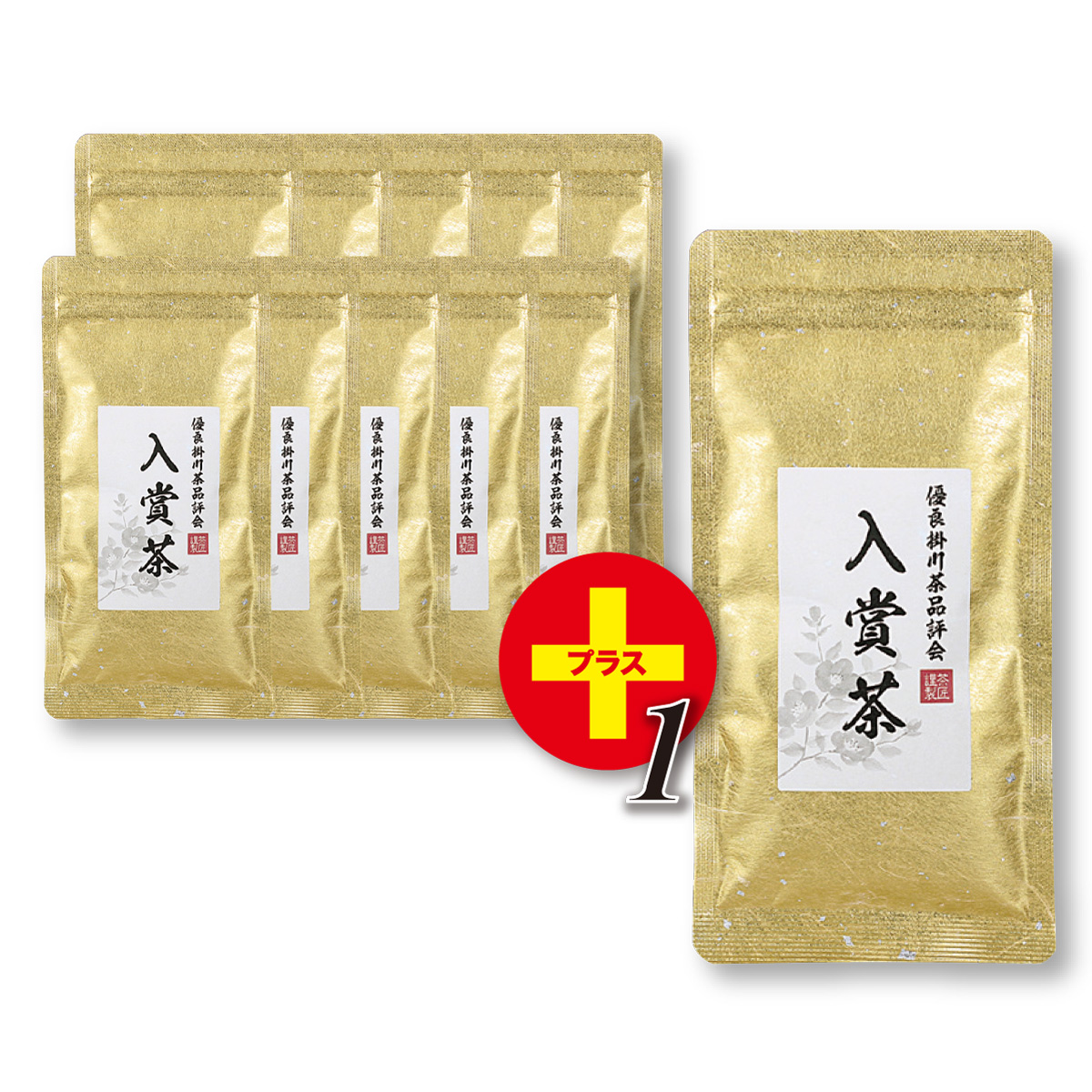 【数量限定】優良掛川茶品評会入賞茶 (100g) 11本セット【1本サービス】