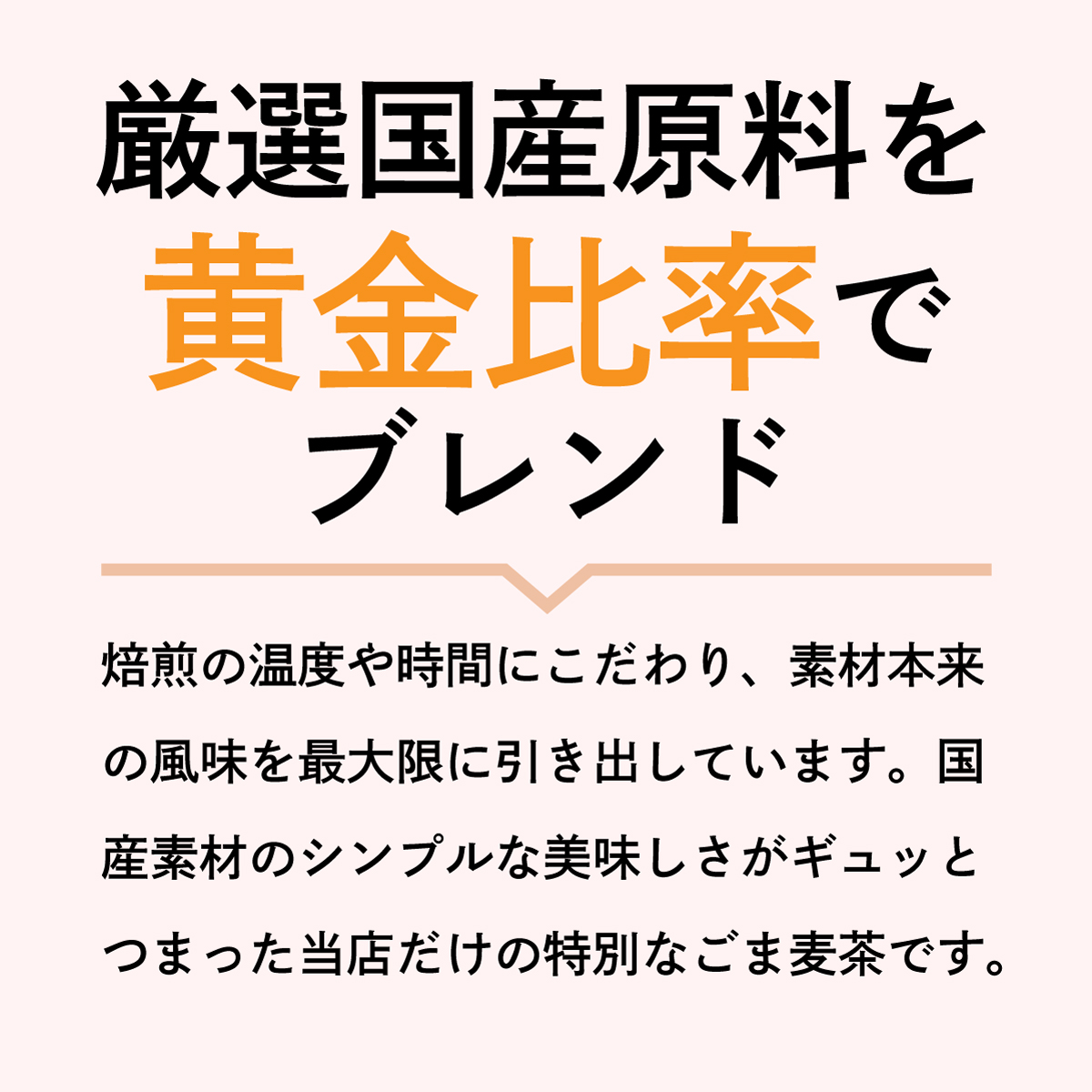黒ごま麦茶 ティーバッグ(3g×80包)