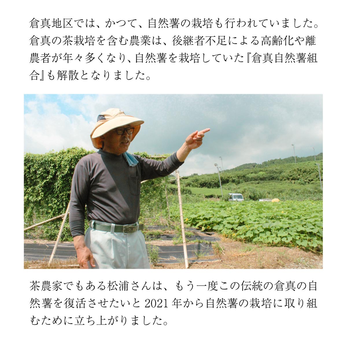 【ご予約承り中】自然薯 (約1kg)