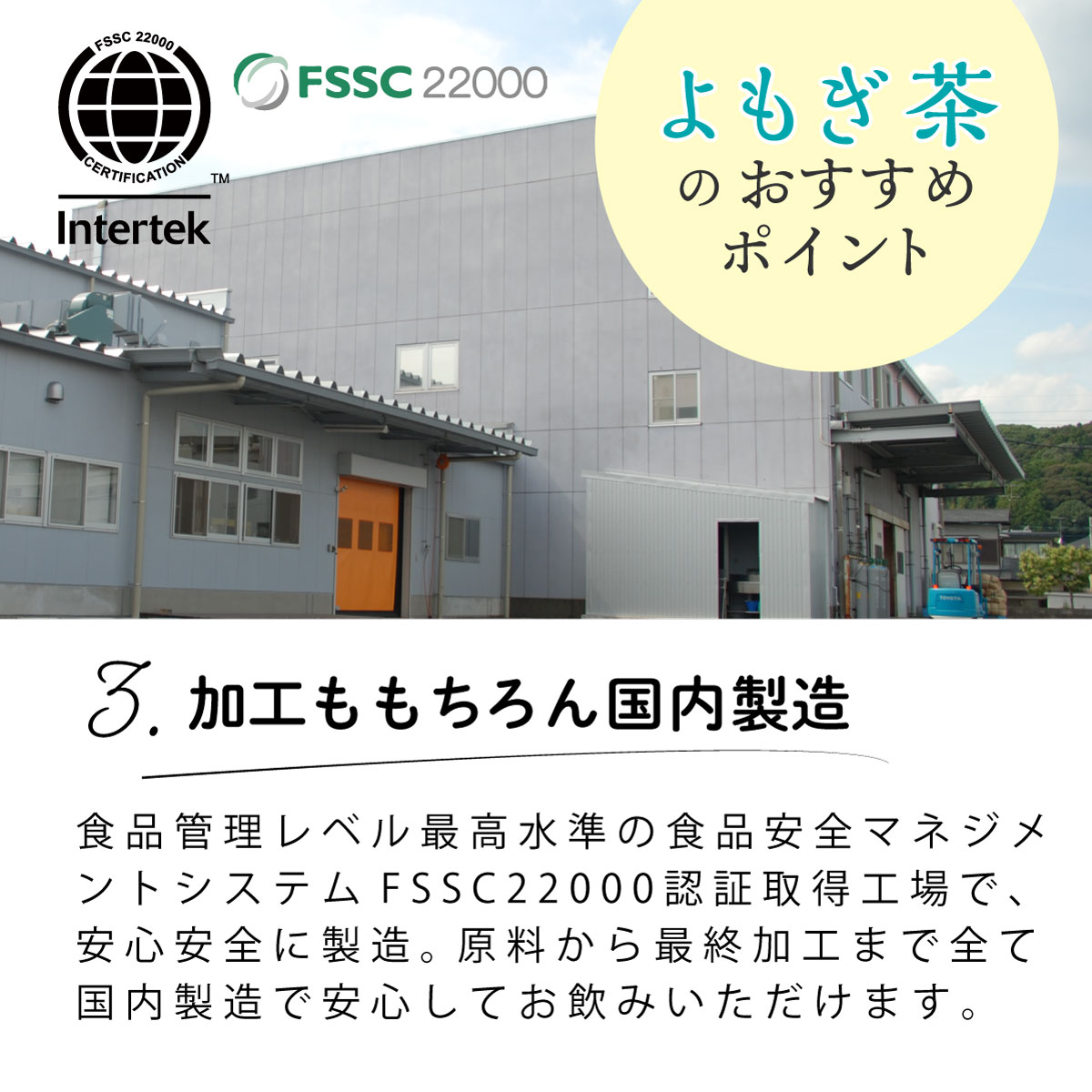 国産 よもぎ茶 ティーバッグ (3g×50包)