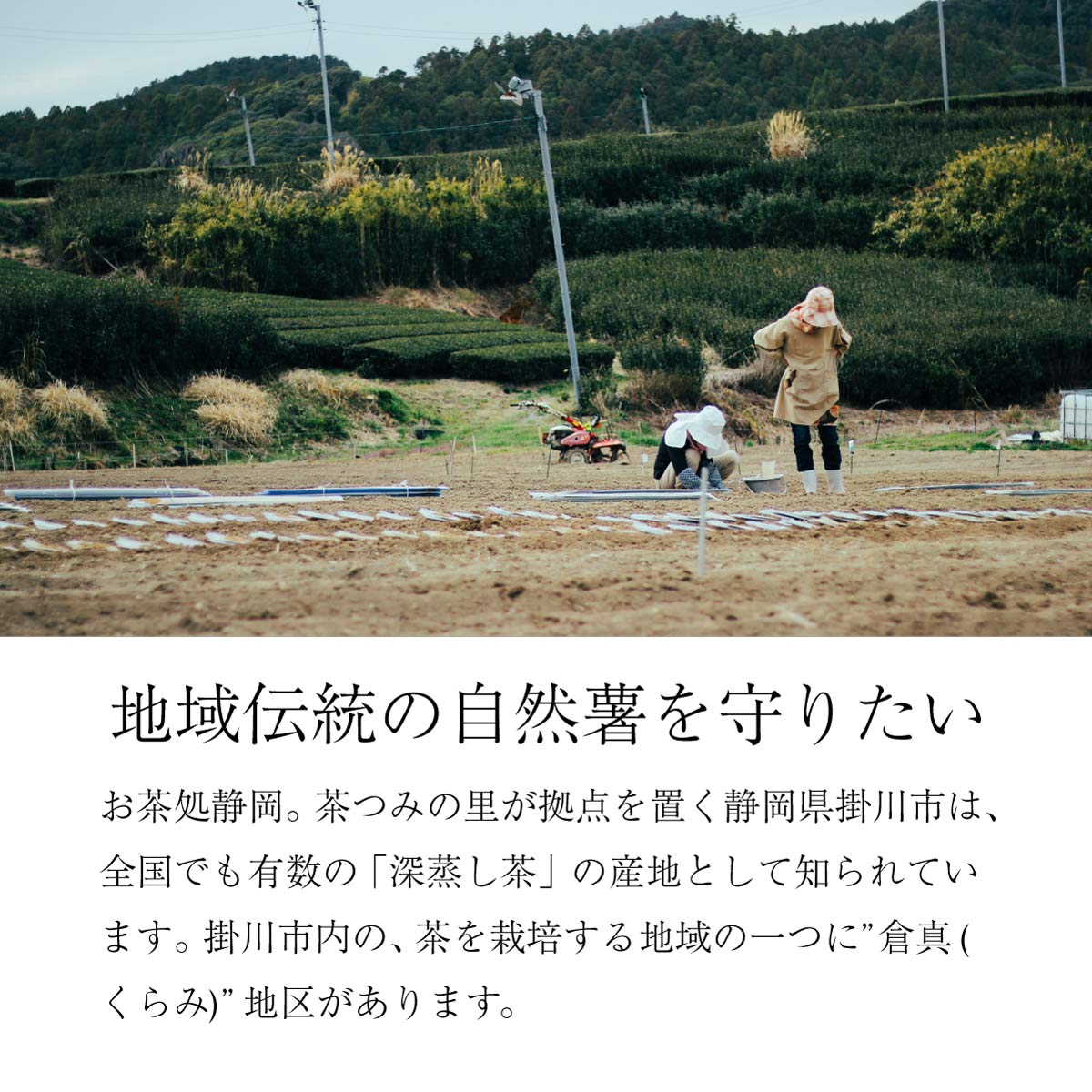 【ご予約承り中】自然薯 (約1kg)