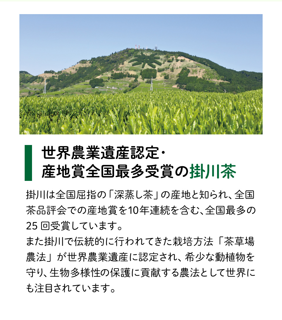 世界農業遺産認定・産地賞全国最多受賞の掛川茶