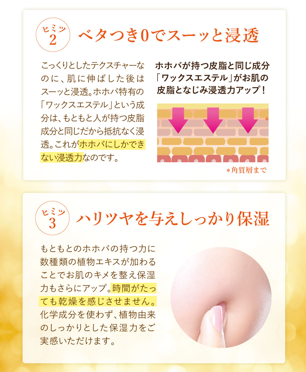 特別お試しプライス 50%OFF ホイップリッチパックEX【送料無料