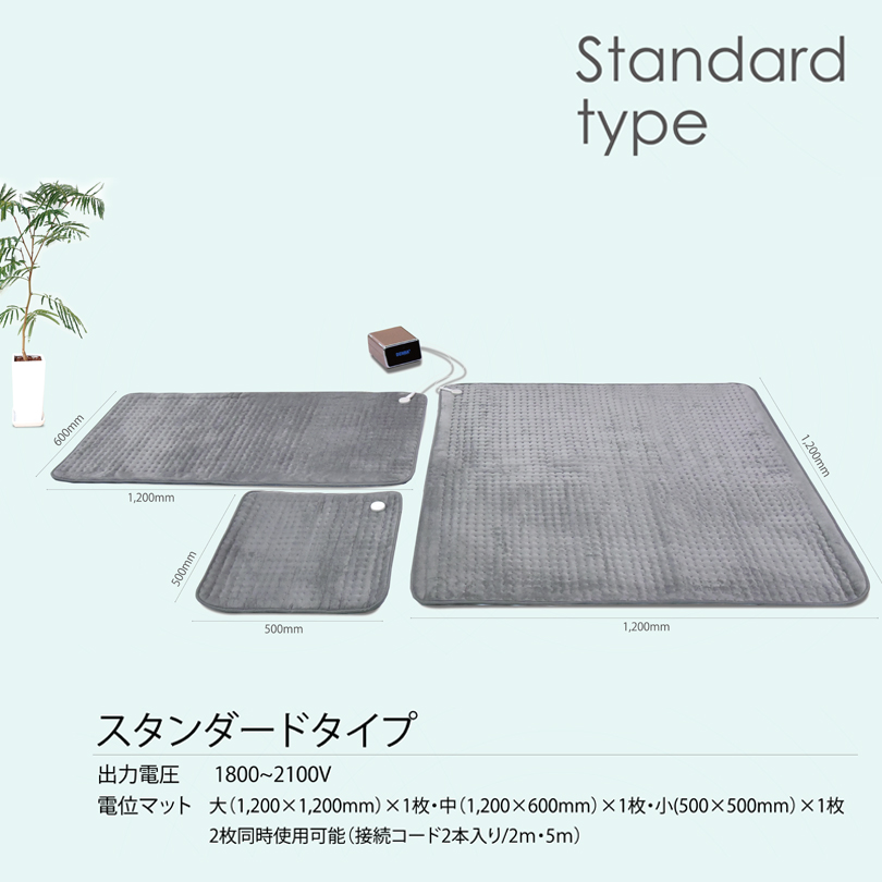 DENBA Health Standard