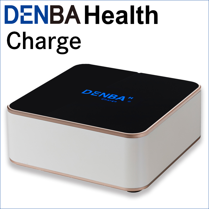 DENBA Health Charge