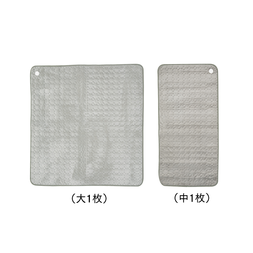 【サブスク】DENBA Health Charge