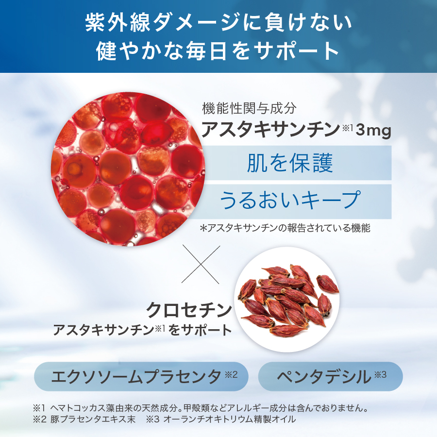 UVインナープロテクト