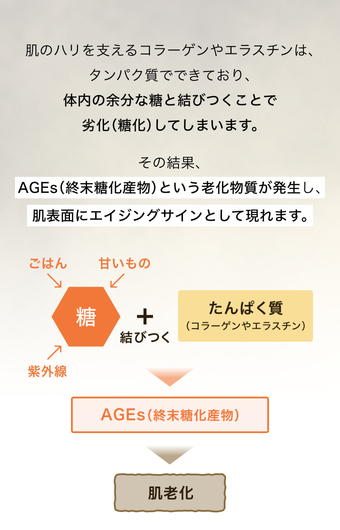 「糖化」のメカニズム