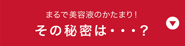 その秘密は？