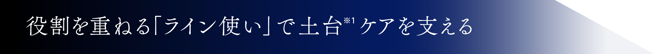 役割を重ねる「ライン使い」で土台ケアを支える