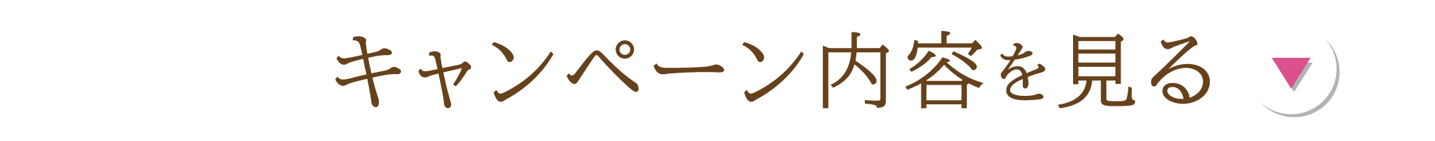 キャンペーン内容を見る