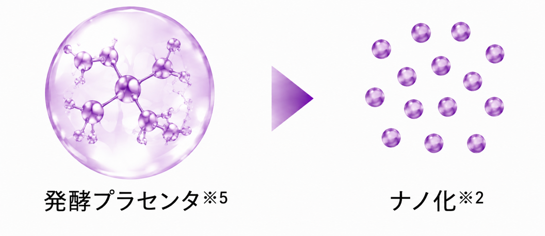 発酵プラセンタ → ナノ化