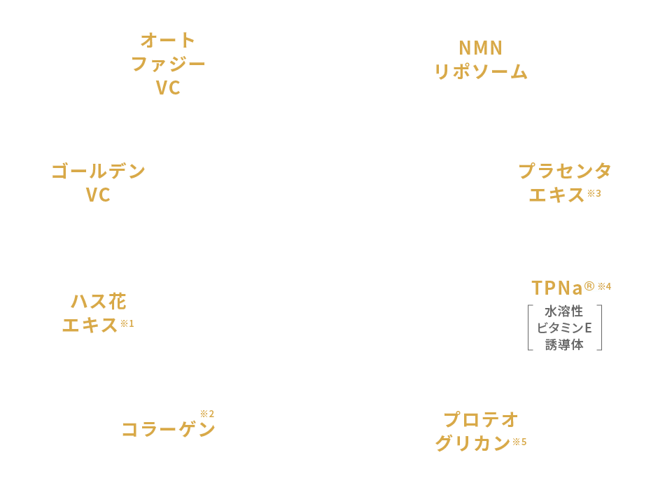 オートファジーVC ゴールデンVC ハス花エキス コラーゲン NMNリポソーム プラセンタエキス TPNa プロテオグリカン