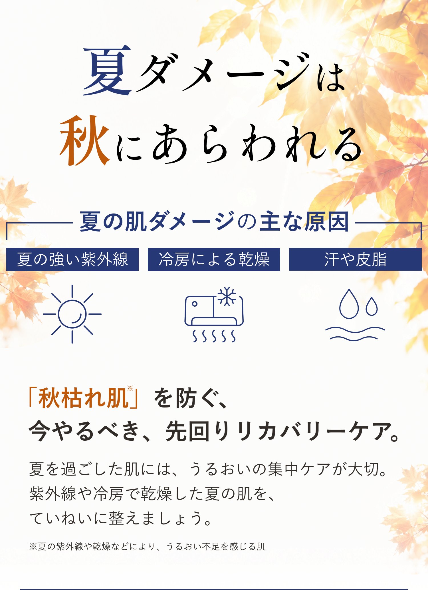 夏ダメージは秋にあらわれる。夏の肌ダメージの主な原因は、夏の強い紫外線・冷房による乾燥・汗や皮脂。「秋枯れ肌※」を防ぐ、今やるべき、先回りリカバリーケア。夏を過ごした肌には、うるおいの集中ケアが大切。紫外線や冷房で乾燥した夏の肌を、ていねいに整えましょう。※夏の紫外線や乾燥などにより、うるおい不足を感じる肌
