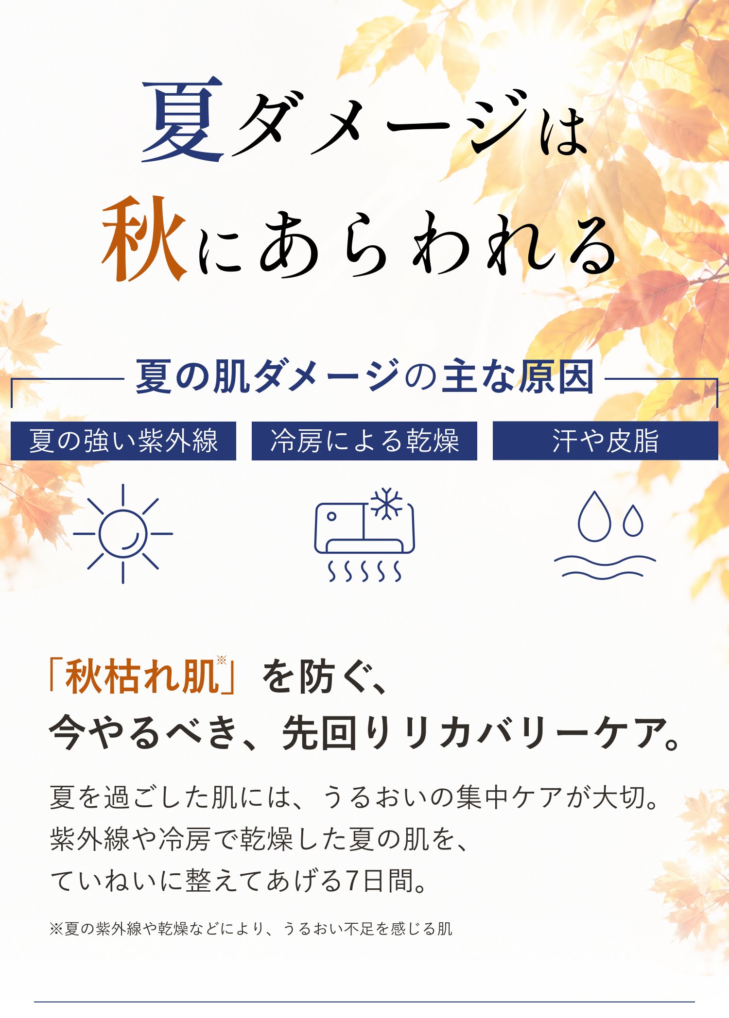 夏ダメージは秋にあらわれる。夏の肌ダメージの主な原因は、夏の強い紫外線・冷房による乾燥・汗や皮脂。「秋枯れ肌」を防ぐ、今やるべき、先回りリカバリーケア。夏を過ごした肌には、うるおいの集中ケアが大切。紫外線や冷房で乾燥した夏の肌を、ていねいに整えてあげる7日間