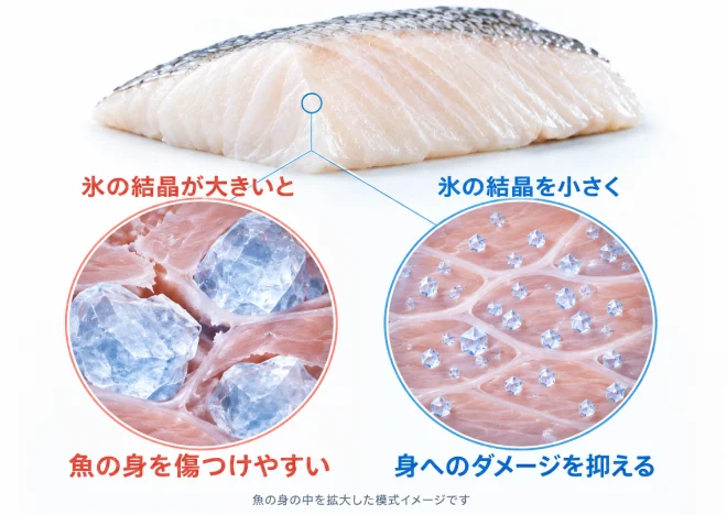 氷の結晶が大きいと魚の身を傷つけやすい／氷の結晶を小さくすると身へのダメージを抑える