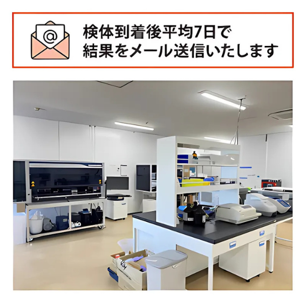 中絶時の胎児細胞によるDNA親子鑑定キット～新～